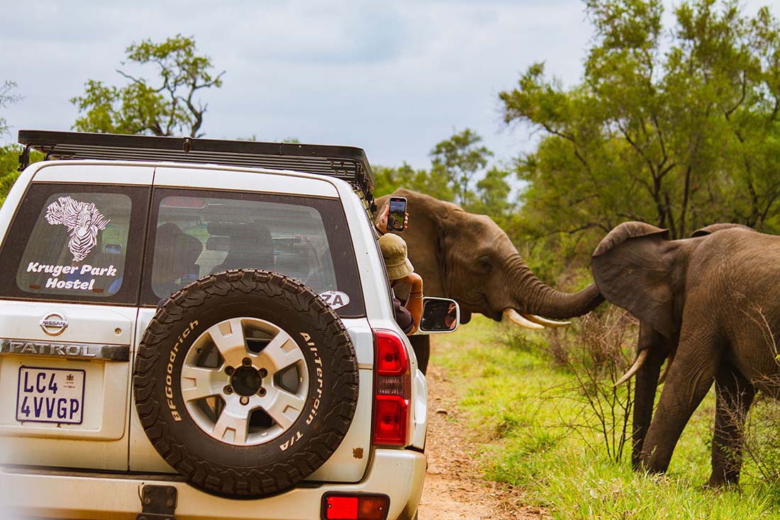 On Safari In The Kruger Park